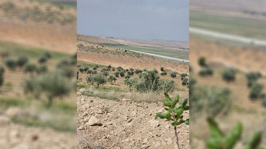 جنود الاحتلال التركي يستهدفون مزارعين في قرية بريف كوباني